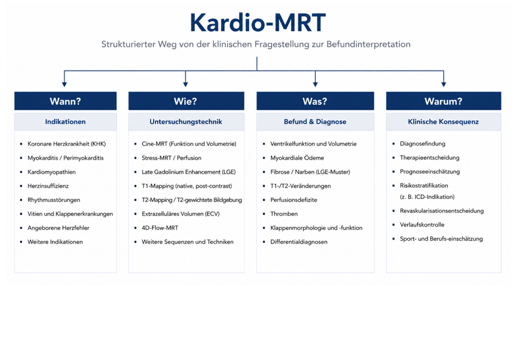 Kardio-MRT struturierte Befundung