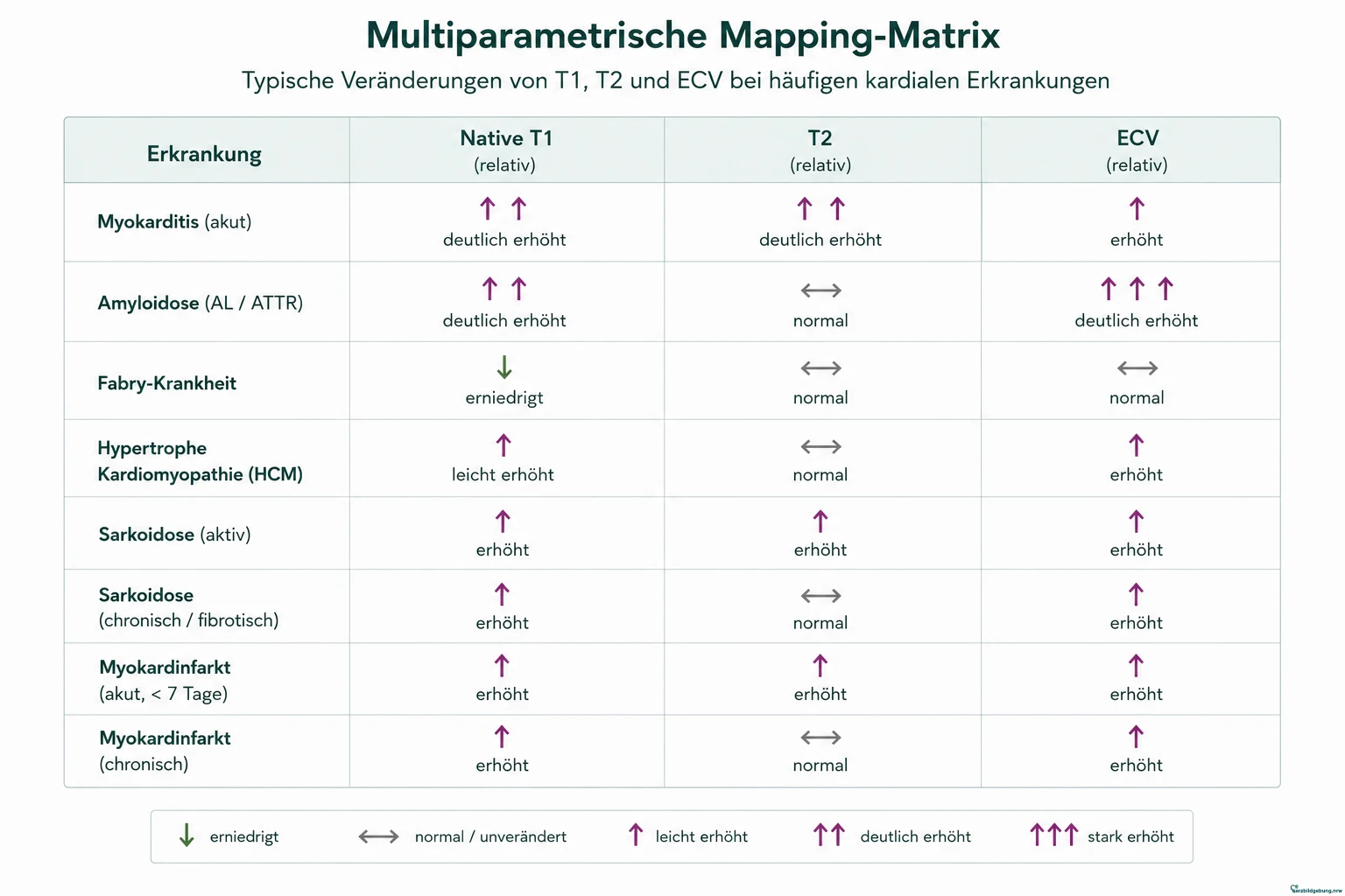 Multiparametrische Mapping-Matrix: typische Veränderungen von nativem T1, T2 und ECV bei Myokarditis, Amyloidose, Fabry-Krankheit, hypertropher Kardiomyopathie, Sarkoidose und Myokardinfarkt